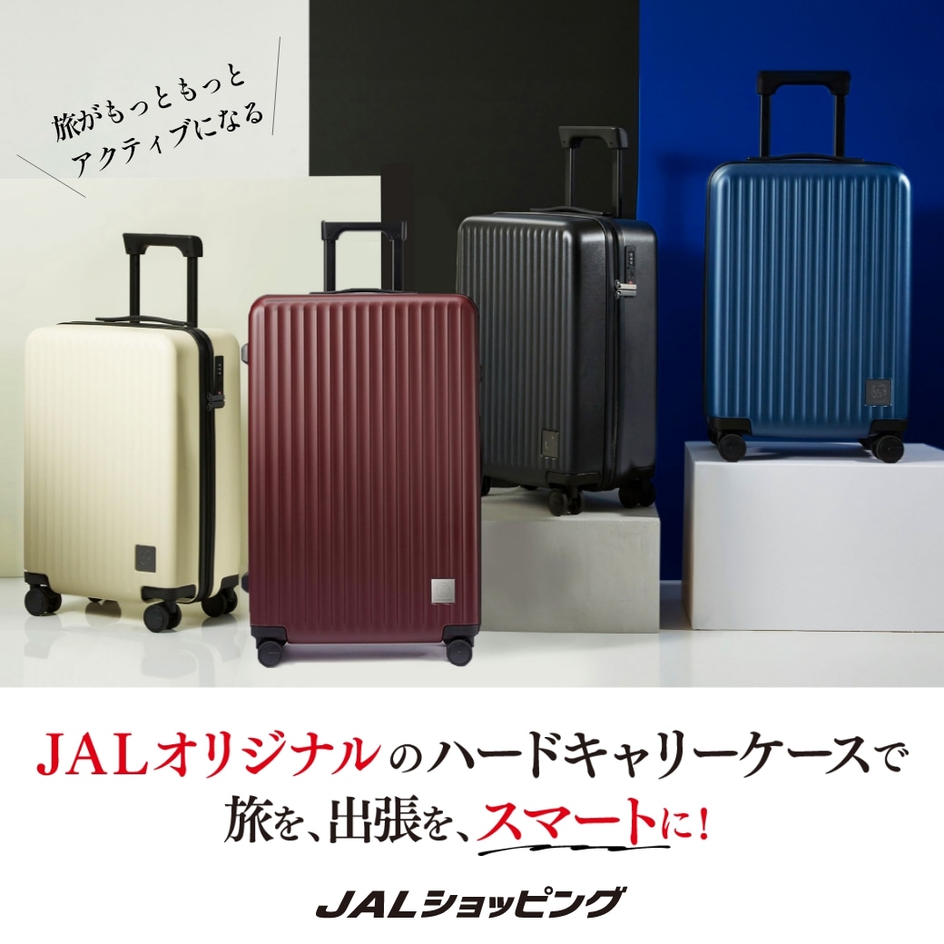 ハードキャリーケース