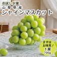 お試し用