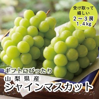 ＜ギフト用＞山梨県産‘‘シャインマスカット‘‘1.4kg（プレミア）