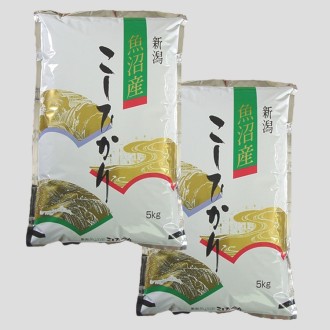 〔2026年 新米〕新潟県 魚沼産こしひかり（5kg×2袋）