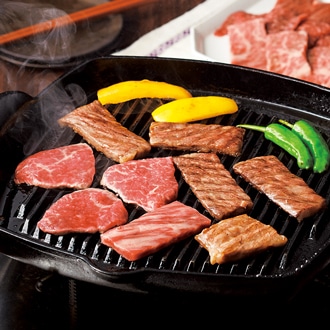 佐賀牛（焼肉用）ミックス（肩ロース・モモ）500ｇ