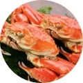 蟹/エビ