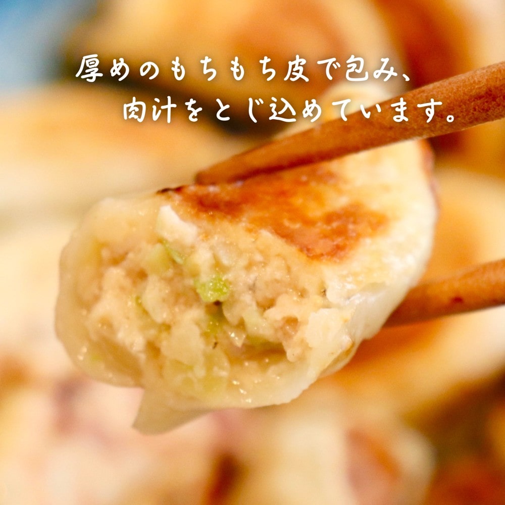 【お取り寄せ】【W】餃子屋 はまだ 大葉餃子 27g 12個入り×3袋