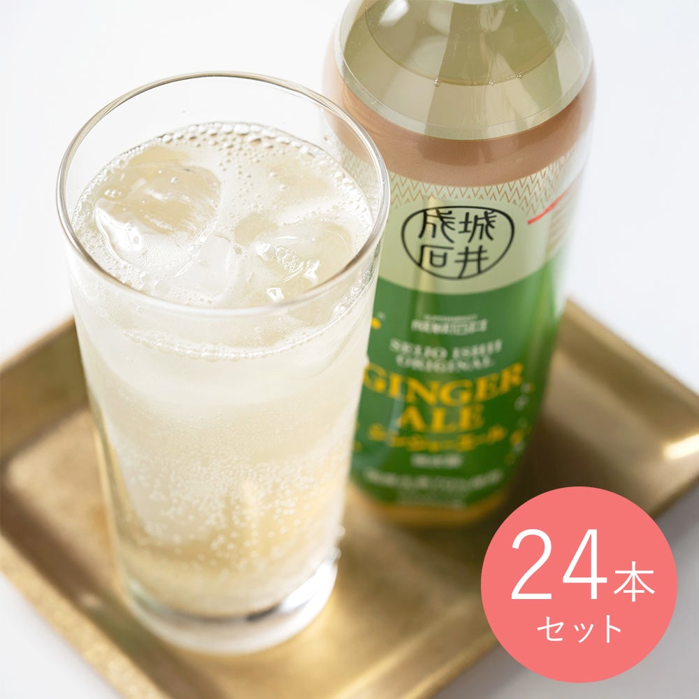 【EK】 成城石井 ジンジャーエール 500ml×24本  炭酸飲料 生姜 ペットボトル スパイシー 割り材  ドリンク