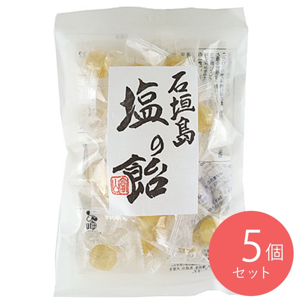 井関食品 石垣島塩のど飴 100g×5袋