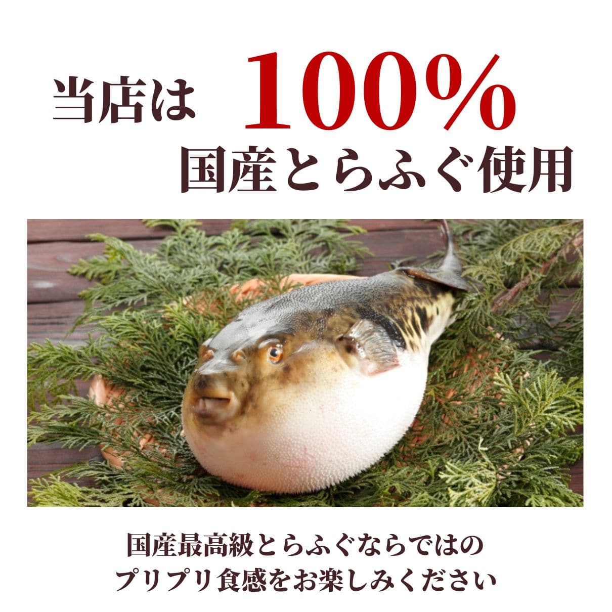 玄品ギフト 海楽節度 4~5人前