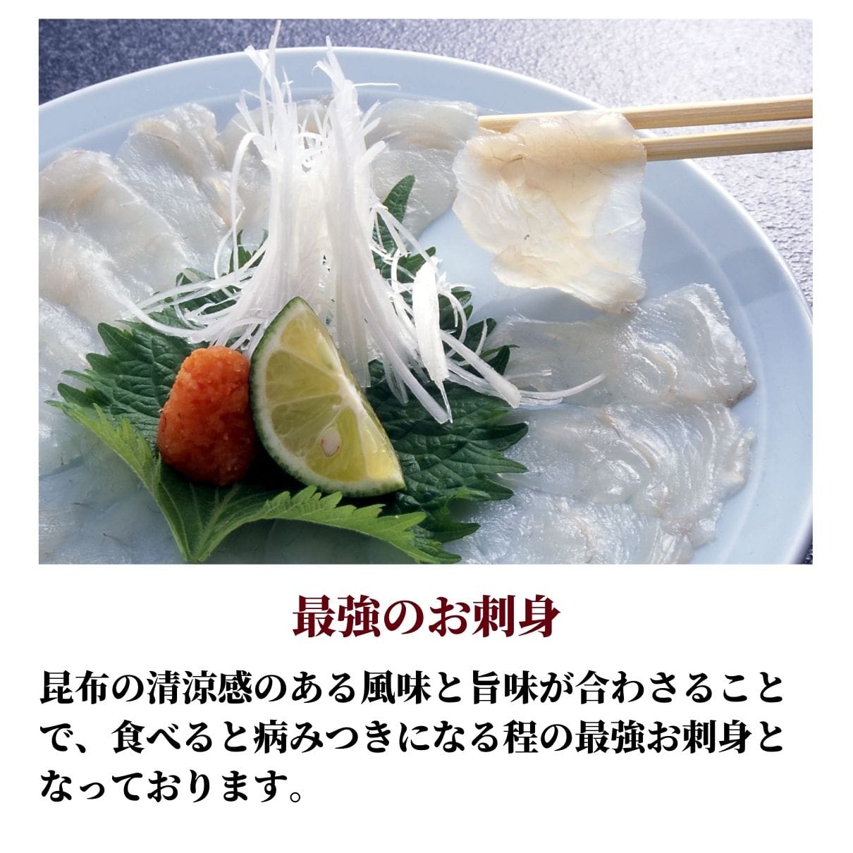 玄品ギフト 海楽節度 4~5人前