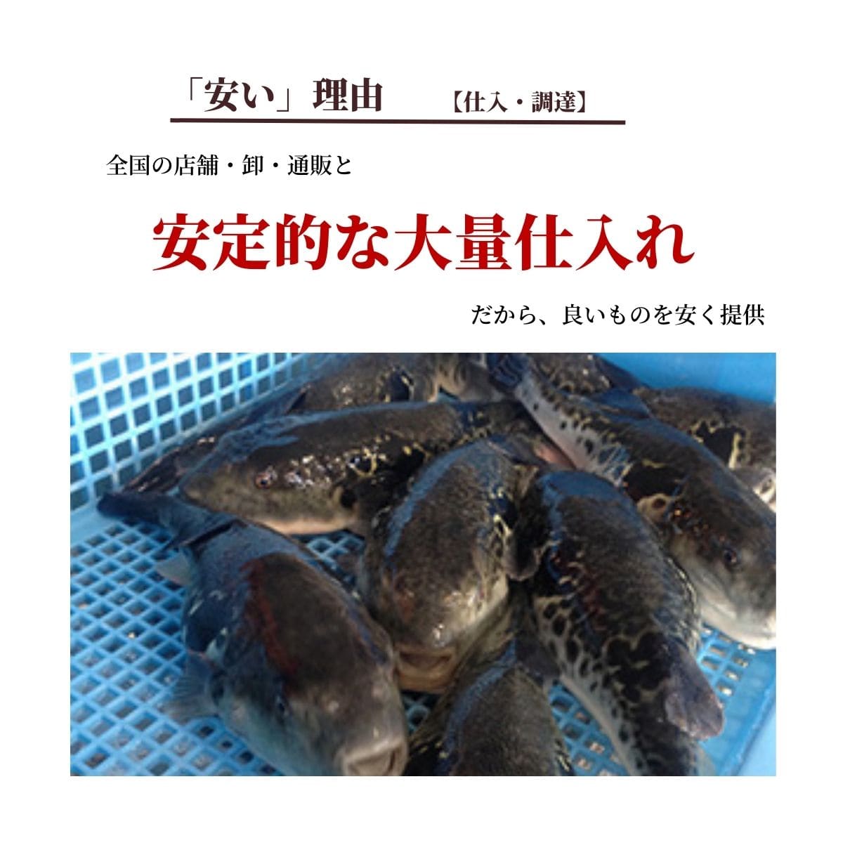 玄品ギフト 海楽節度 4~5人前