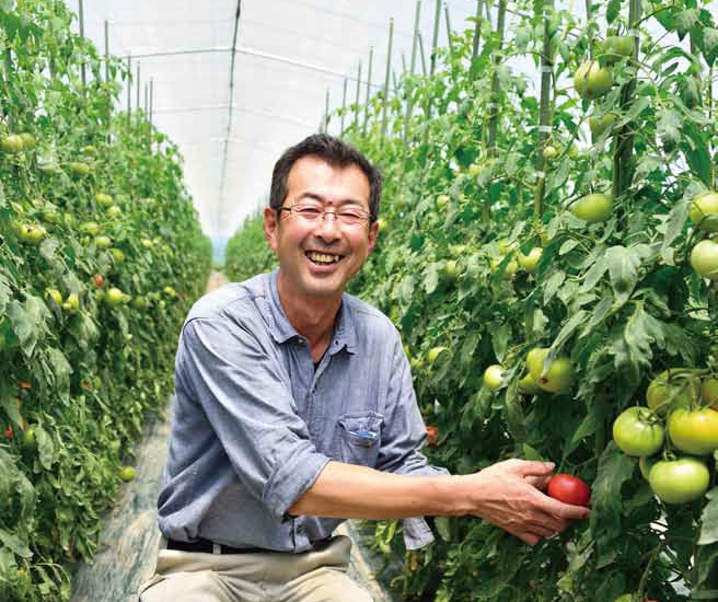 〔トマトジュース〕500ml×5本甘くて味わい深い本物！「くまさんファーム」 宅配 5本
