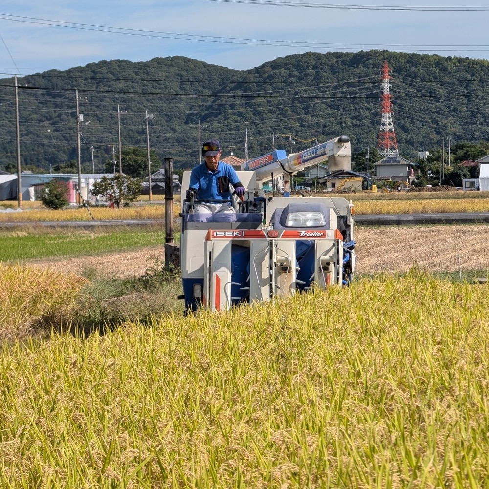 岡山県産 自然栽培米「朝日」白米　10kg [cApriCO product（カプリコプロダクト）] 宅配 10kg