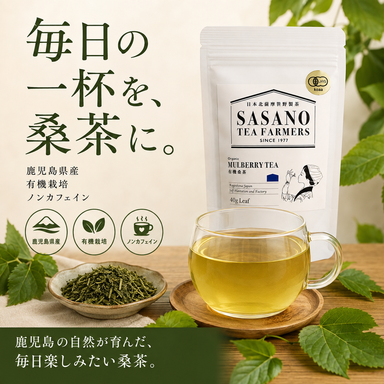 有機栽培オーガニック桑茶(リーフ)×4袋「薩摩川内市観光物産協会」 宅配 4袋(40g×4)
