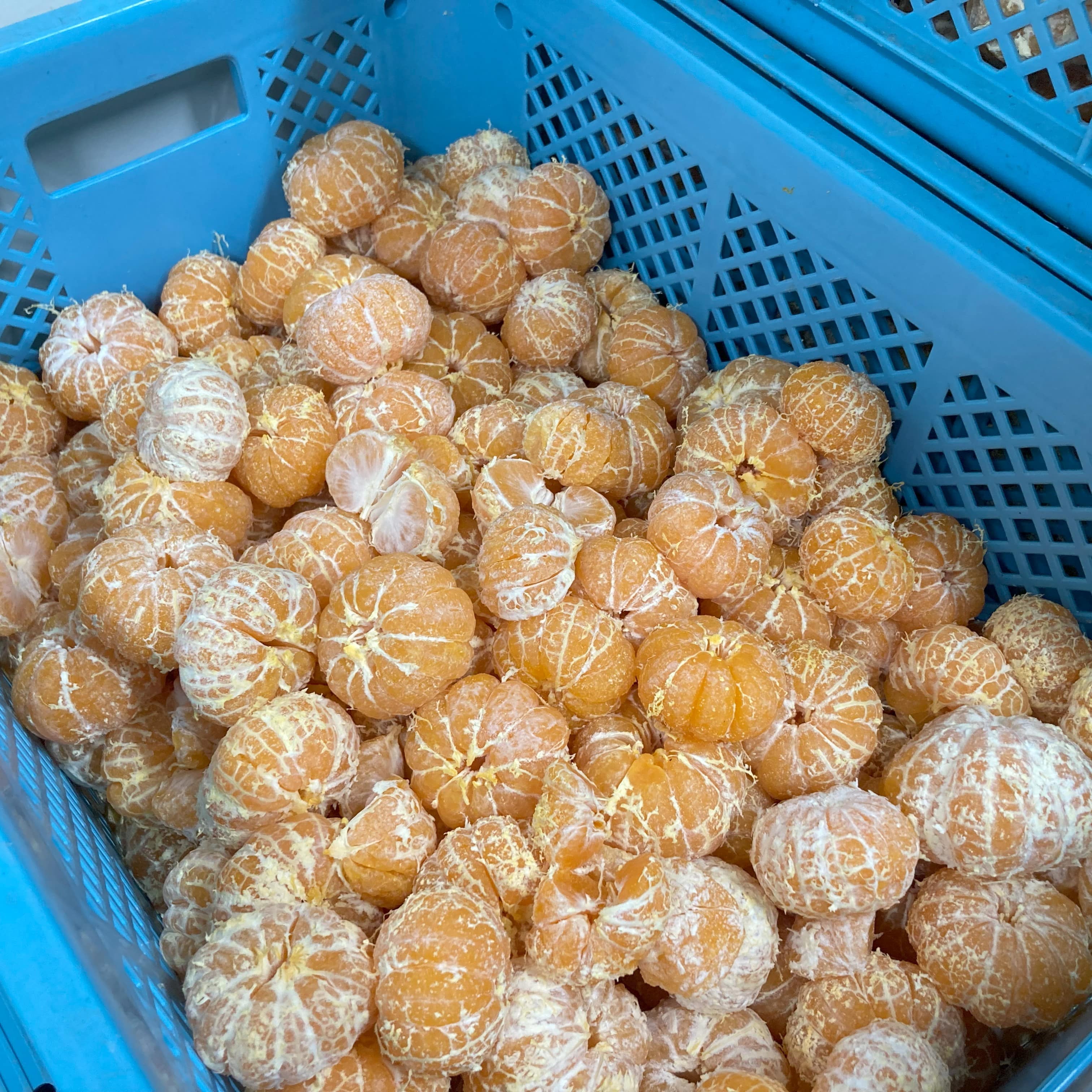静岡県産みかんスパークリング ストレート果汁100%〔250ml×3本セット〕かんきつ商社Aquamarine株式会社 宅配 3本セット