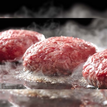 宮崎県産八崎牛のハンバーグ 120g×5個 熟成の極み！「鏡山牧場」