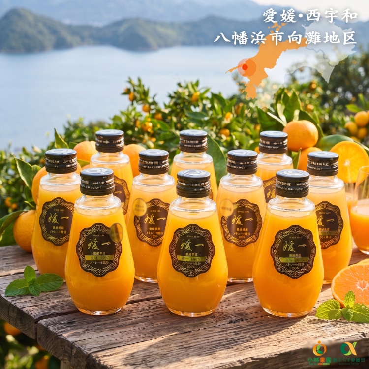 媛一ジュース小瓶(160ml)ｘ8本セット　愛媛柑橘の味わい！「小林果園」