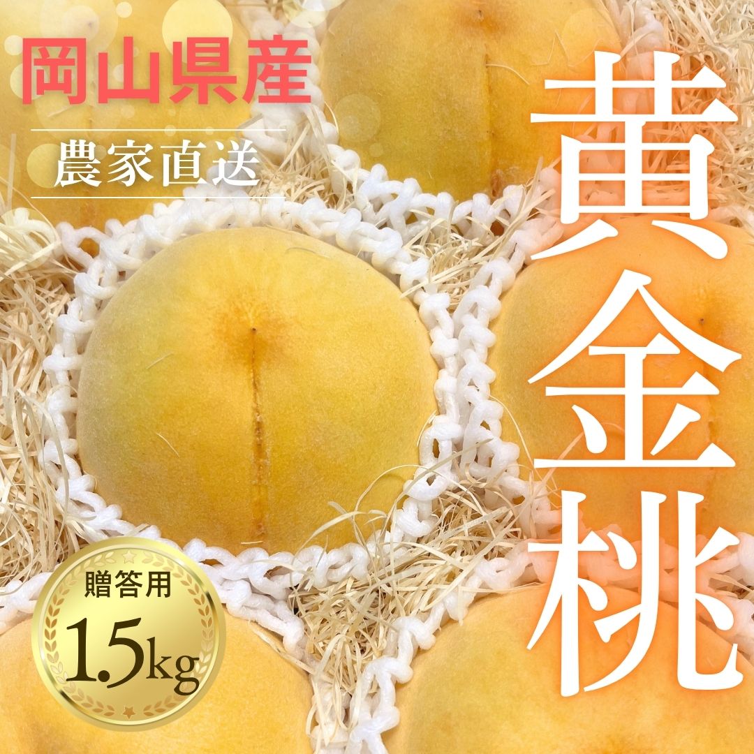 【2026年先行予約 8月下旬~9月発送】岡山の桃 黄金桃 贈答品 5~7玉入り 約1.5kg［MIKI’S ORCHARD］