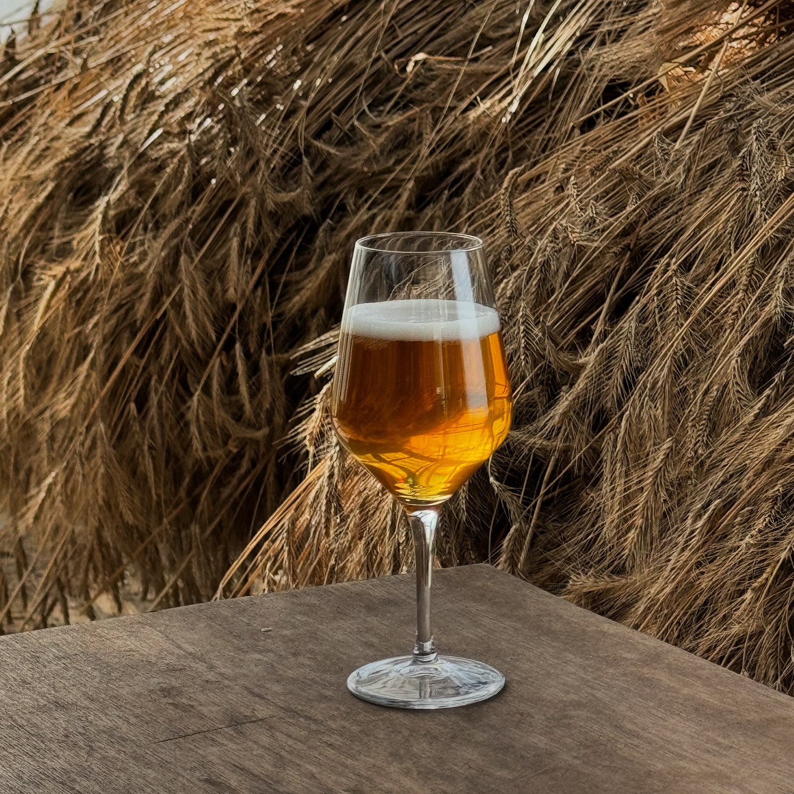 「JAL限定」 RIKKA Farmhouse Ale 3本セット 北海道・浦幌から直送（送料込） [RIKKA合同会社]