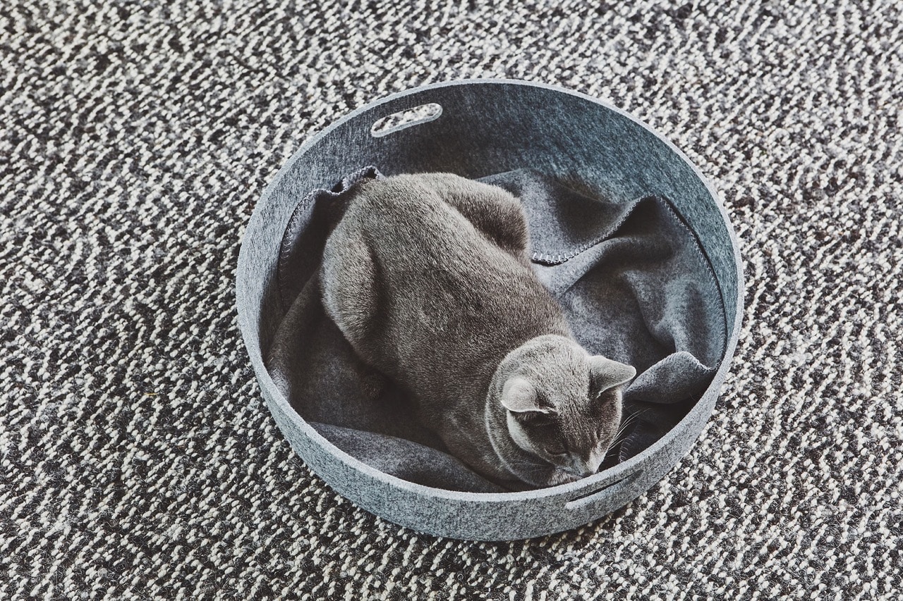 Unica Cat Blanket Pebble XS Pebble XS