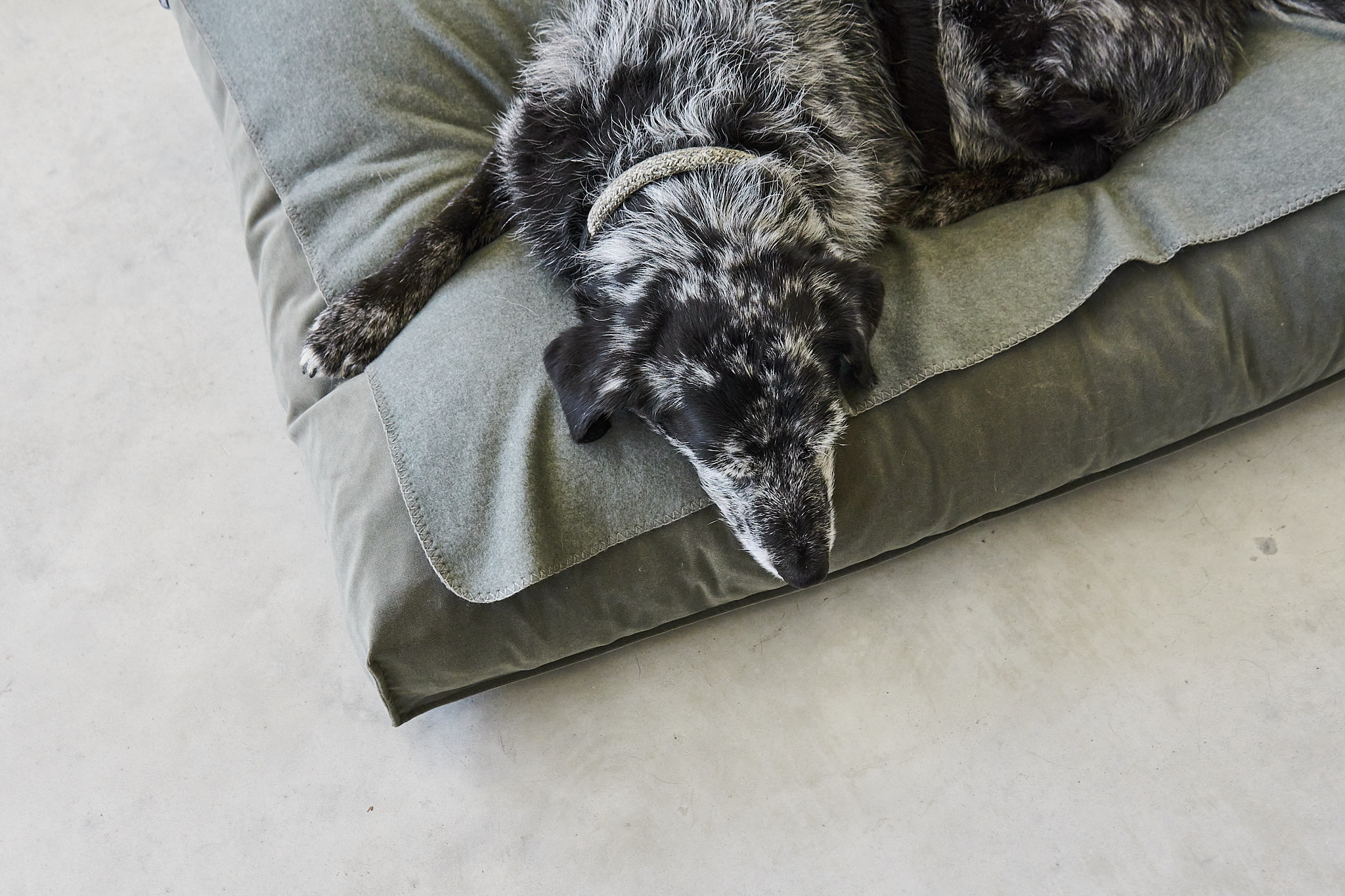 Unica Dog Blanket  Sage M Sage M