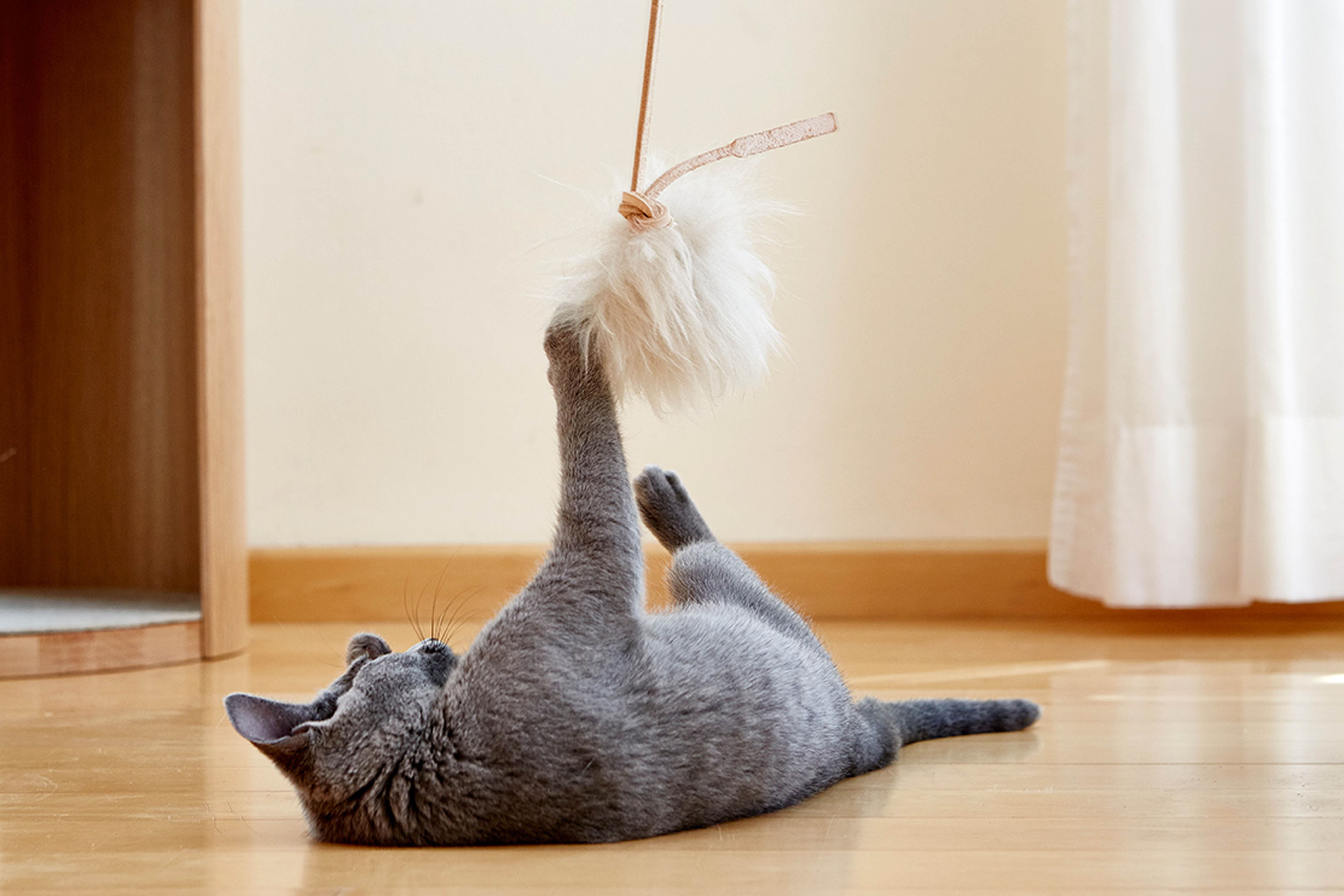 Topo (Cat Toy) Ivory Natural・Ivory