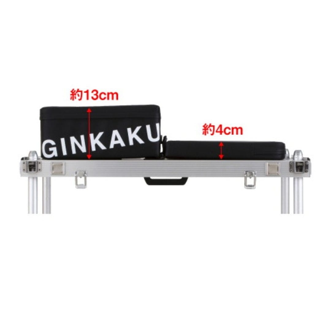 ダイワ へラ用品 G-233 ギンカク 座布団ビッグ N ライトグレー