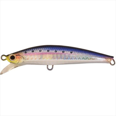 ジャクソン　ピンテールサワラチューン　４２ｇ　ＳＮＩ　新鮮イワシ