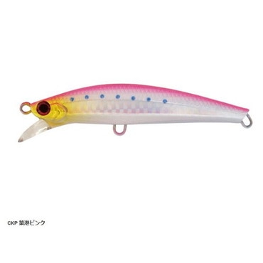 ジャクソン シーバスルアー ピンテールサゴシチューン 20g CKP築港ピンク