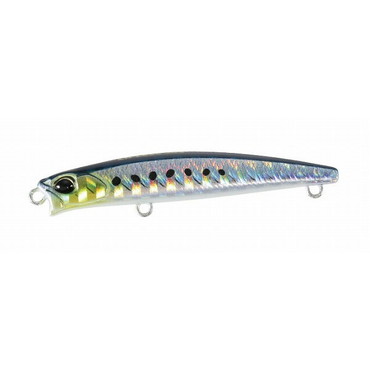デュオ テトラワークス トトスリムリップレス50S マイワシ