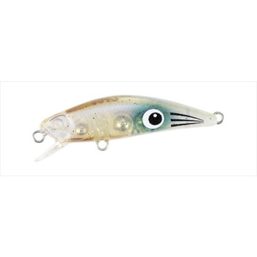 デュオ テトラワークス トト42S CCC0653 子アオリグロー