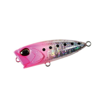 デュオ テトラワークス ポコポコ40F CPA0851 ピンクヘッドシルバーシラス