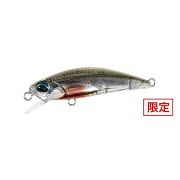デュオ テトラワークス トト42S CSH0966 シラスEX