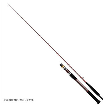 ダイワ ディープゾーンGS 300-205・R 2021モデル (グリップジョイント)