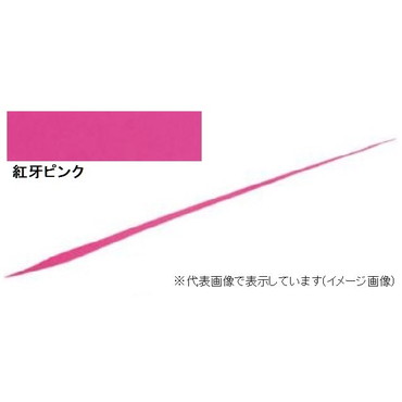 ダイワ 紅牙 シリコンネクタイ 中井チューン ストレートスリム 紅牙ピンク