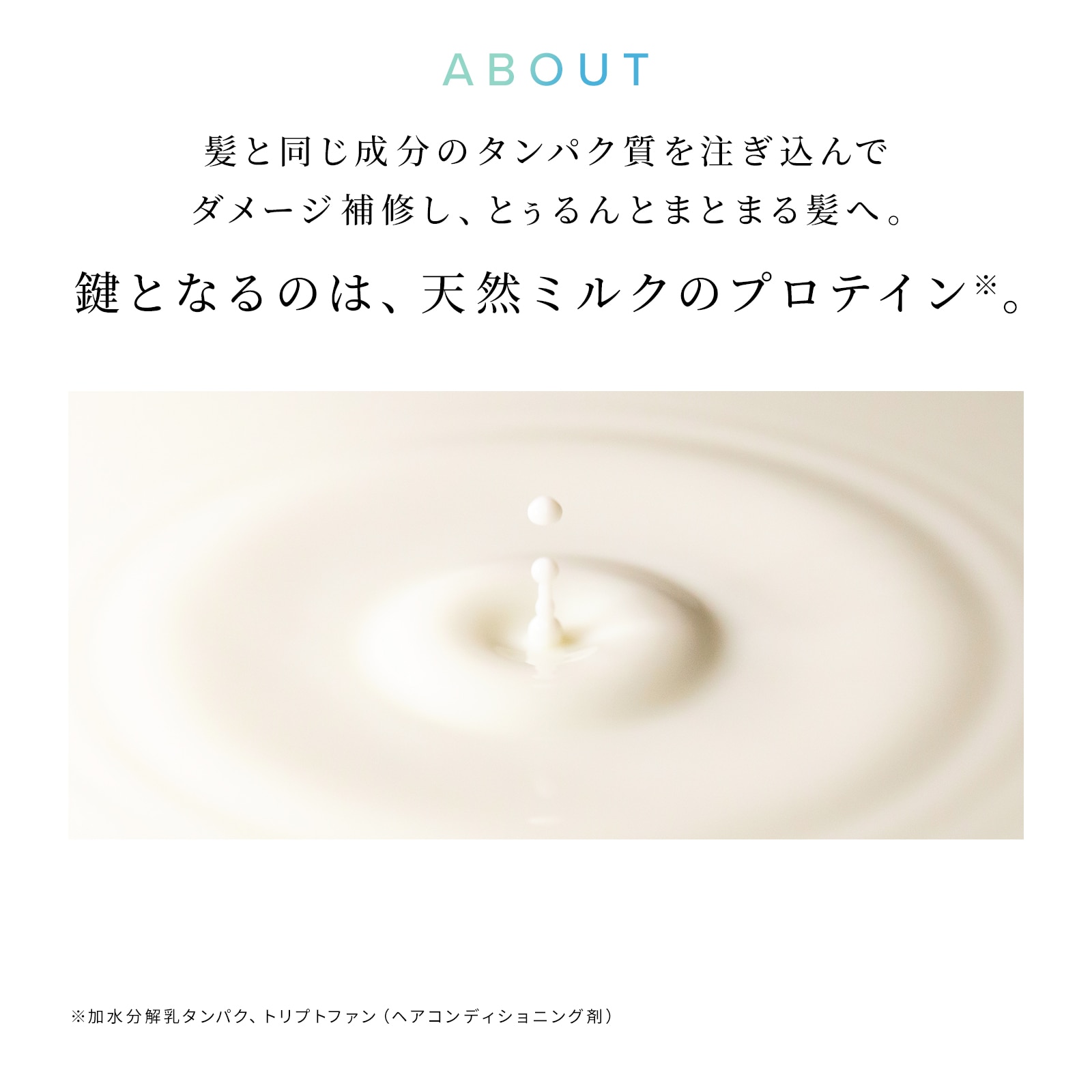 リファミルクプロテインシャンプーストレート 430mL