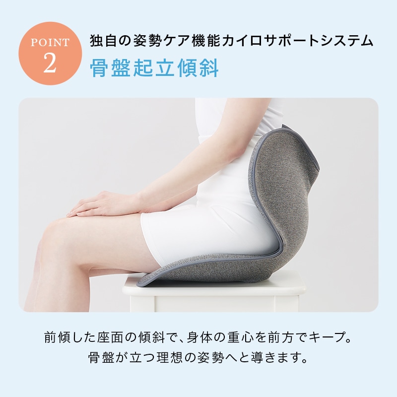 スタイルスタンダード(ウォームグレーN01) 骨盤 猫背 姿勢 送料無料 クッション 腰 テレワーク 在宅 在宅勤務 ウォームグレー