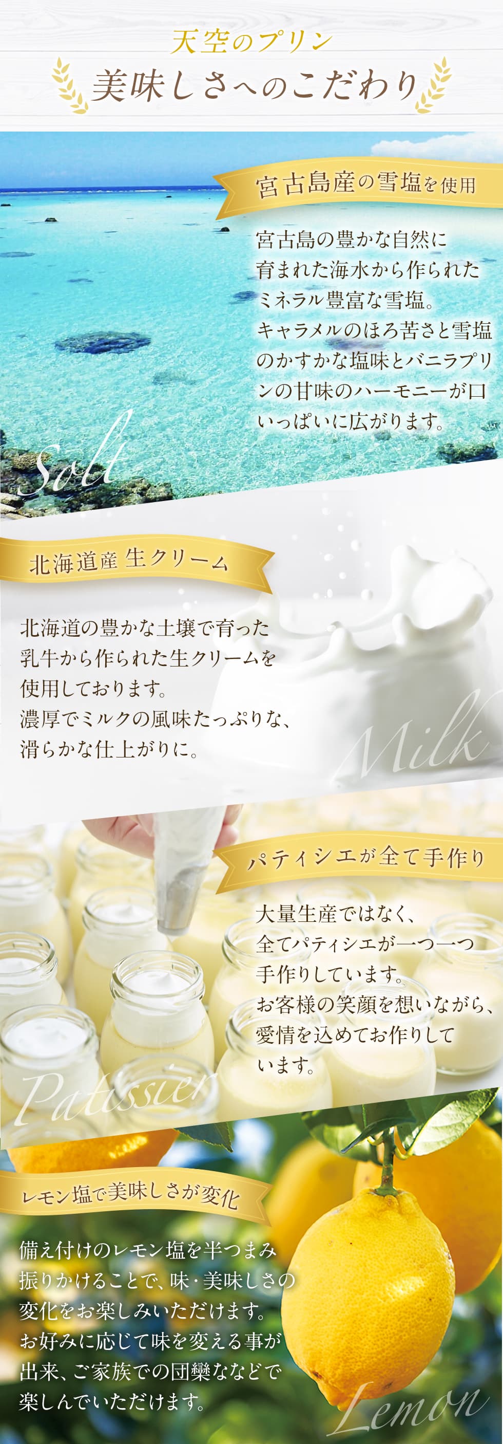 雅×潮