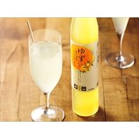 栃木 山星島崎 ゆず果汁濃縮ドリンク〔300ml×6本〕