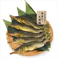 世界農業遺産認定 清流長良川 天然鮎塩焼き TAU-100C 〔天然鮎塩焼き×5〕