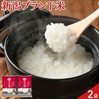 新潟県産米 雪温精法 新之助〔2kg×2袋〕