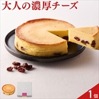 ホシフルーツ 大人のチーズケーキ〔直径約12cm×1個〕
