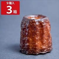 京都奥丹波カヌレ 〔(丹波のたまご・黒豆きなこ・丹波栗2.0・純米大吟醸・抹茶・ほうじ茶・あんことバター・塩ミルク・いもくりなんきん)×3〕