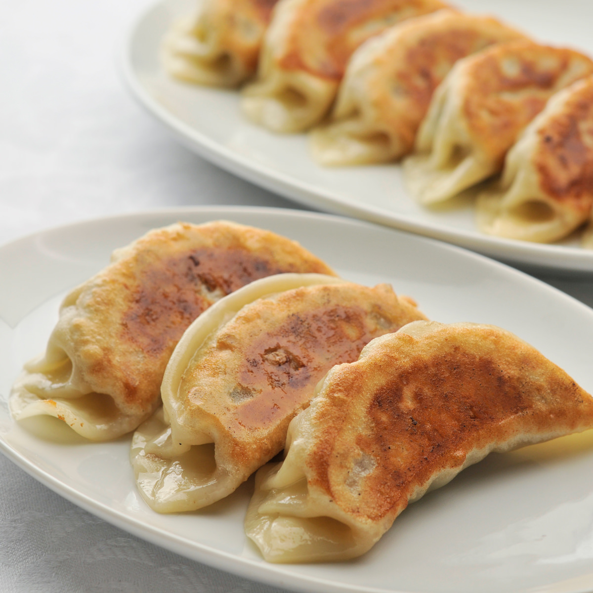 天津飯店 特製ジャンボ餃子 〔40g×50〕