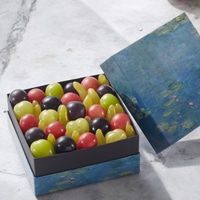 VERAISON ぶどうの宝石箱 岡山県産ぶどう ギフト〔750g〕［北海道・沖縄県・離島 配送不可］