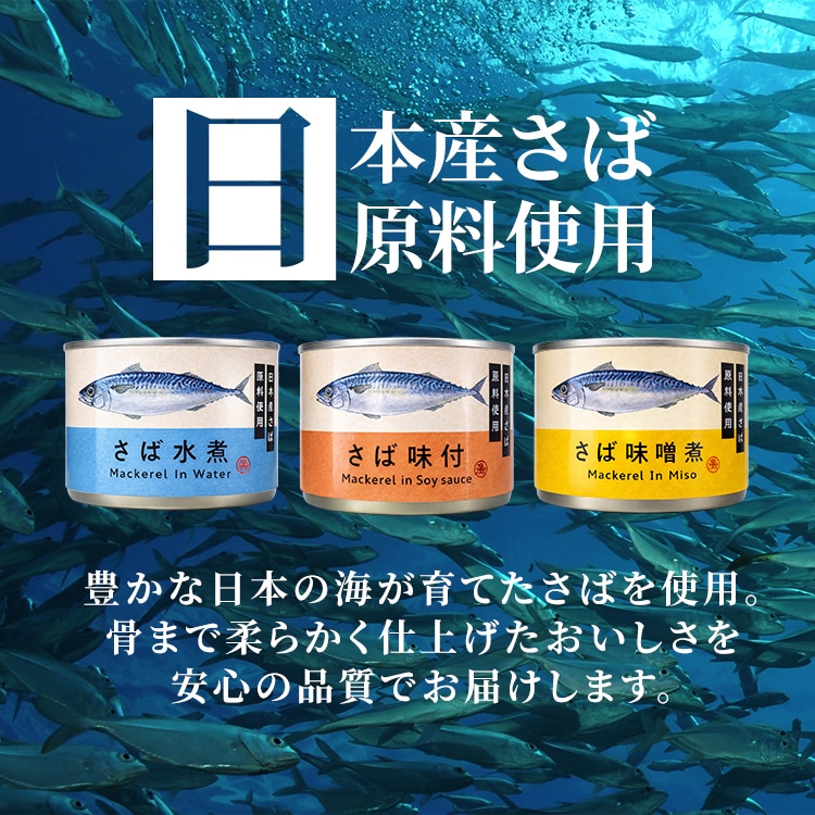 タイランドフィッシャリージャパン 【48缶】150g さば缶 3種セット 3種セット