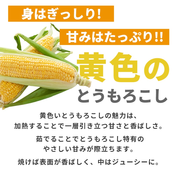 北海道産黄色・白いとうもろこし 各5本 【時間指定不可】【代引不可】【同梱不可】