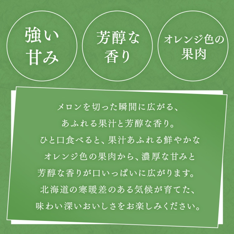 北海道産赤肉メロン1玉(1玉約1.6kg以上) 【時間指定不可】【代引不可】【同梱不可】