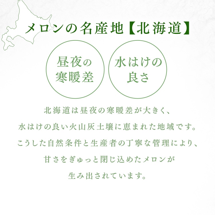 北海道産赤肉メロン1玉(1玉約1.6kg以上) 【時間指定不可】【代引不可】【同梱不可】