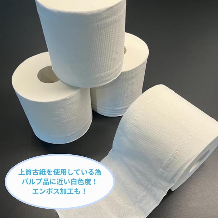 【2個】環境を考えたおしりにやさしいトイレットロール 2倍巻き 120mシングル 120mシングル