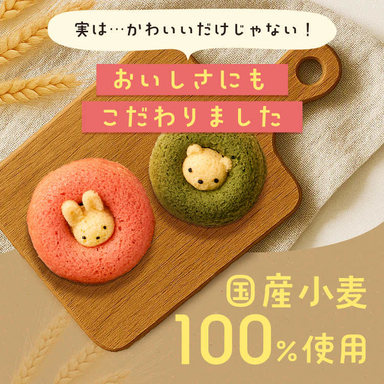 アニマルドーナツ 10個 ANM-25 【時間指定不可】【代引不可】【同梱不可】