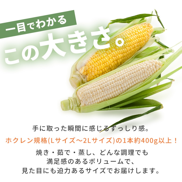 北海道産黄色・白いとうもろこし 各5本 【時間指定不可】【代引不可】【同梱不可】