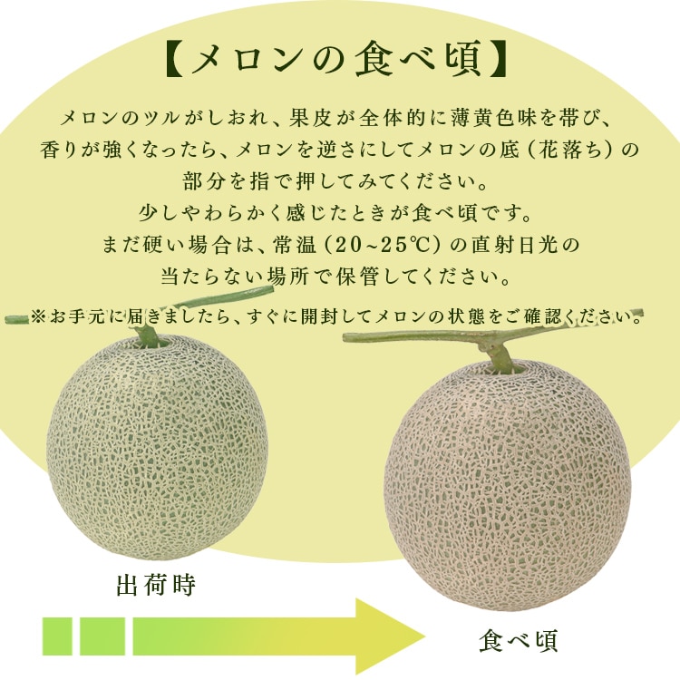 【訳あり】北海道産赤肉メロン2玉(1玉約1.3kg以上) 【時間指定不可】【代引不可】【同梱不可】